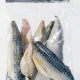Filetes de caballa bolsa 1 Kg (P.Neto sin el glaseado 800G) Wofco - Wofco - Compra en El Mercadito en TSO Tienda 1