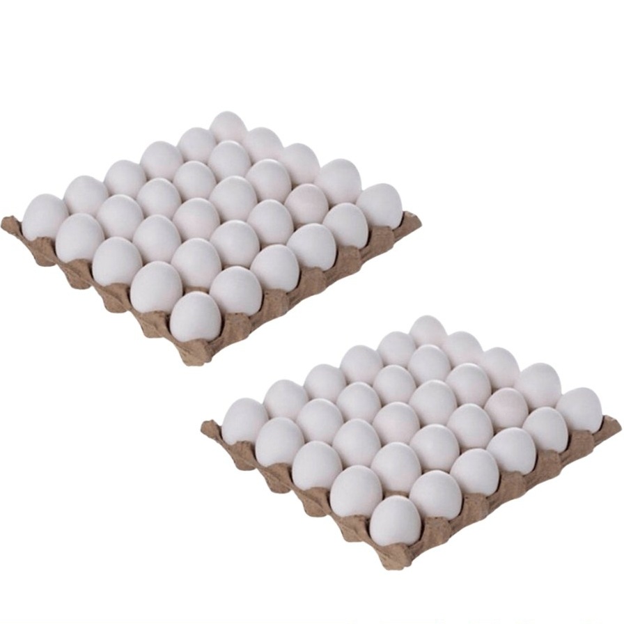 2 Cartones de Huevos (60 U)
