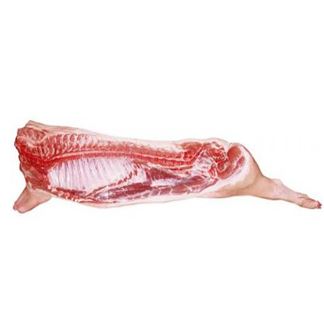 Banda de cerdo de 50 a 60 lb
