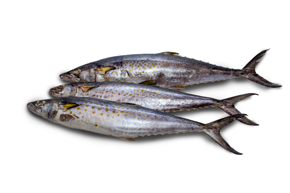 Pescado de mar (5 Lb)