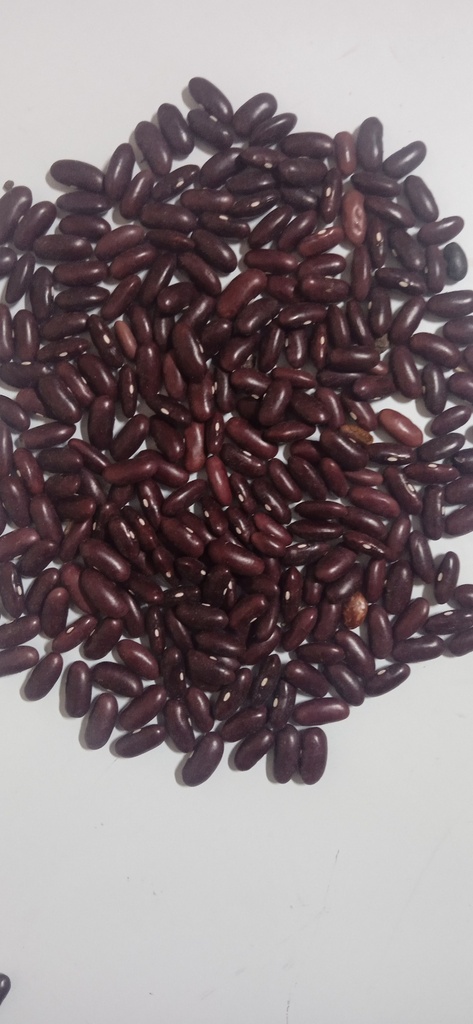 Habichuelas (Lb)