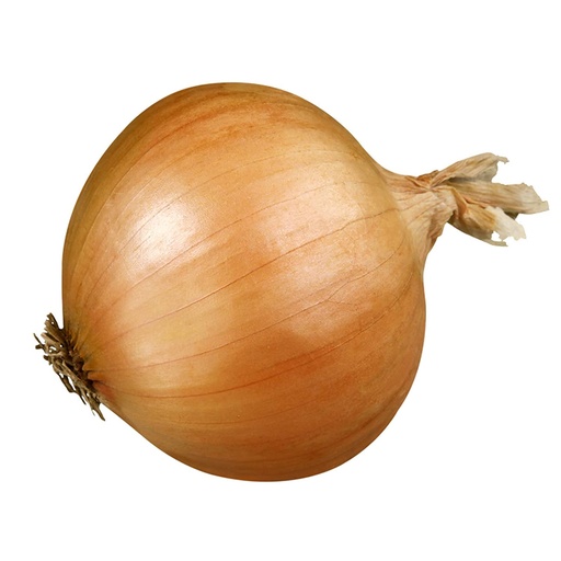 Cebolla (cada unidad)