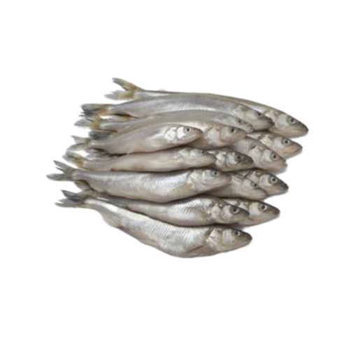 Pescado Lisetas (5 lbs)